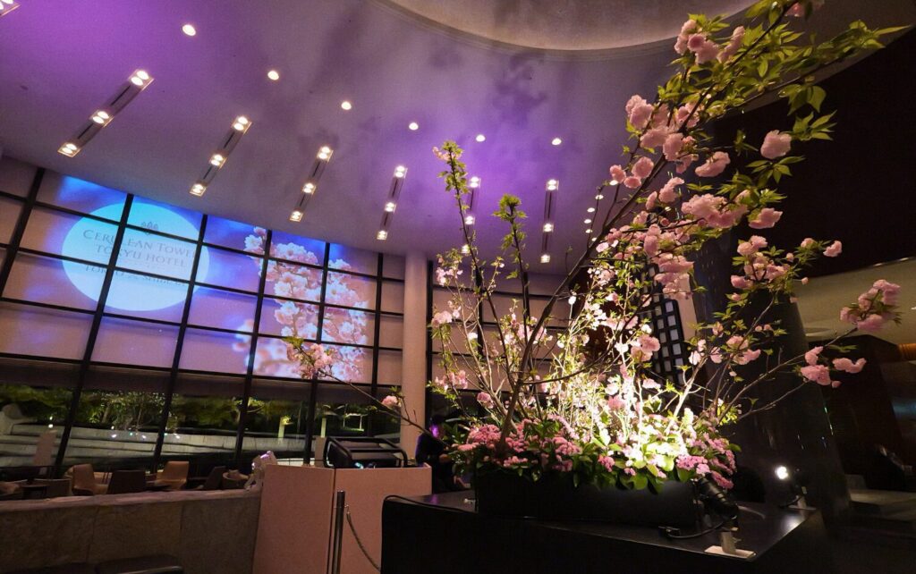 写真映えを意識した桜と映像演出の撮影