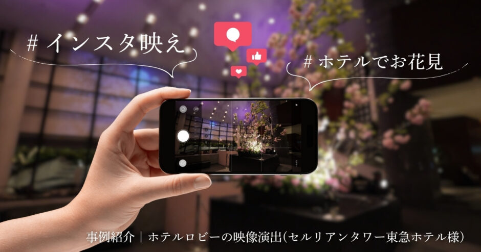 桜シーズンの映像演出の撮影